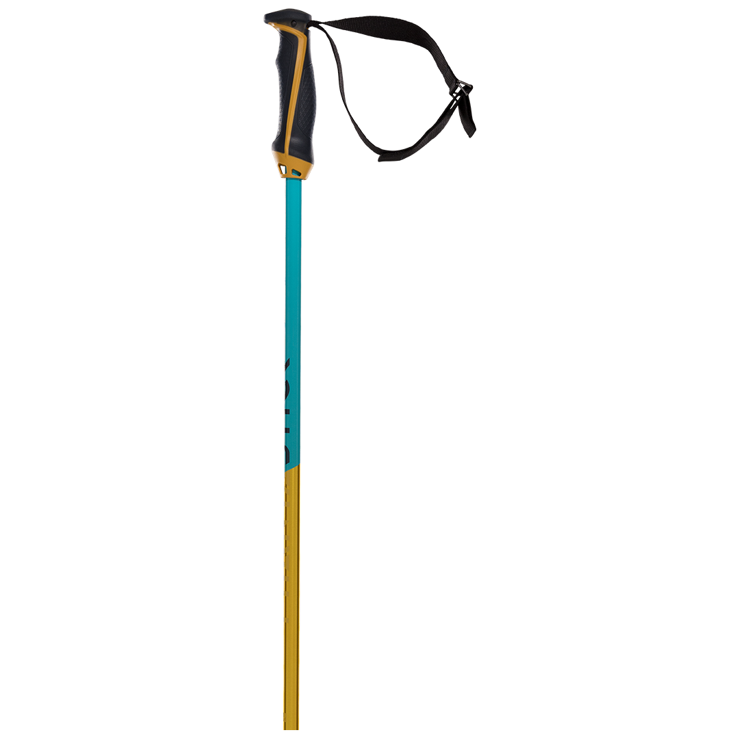 Volkl Phantastick II 18mm Ski Pole