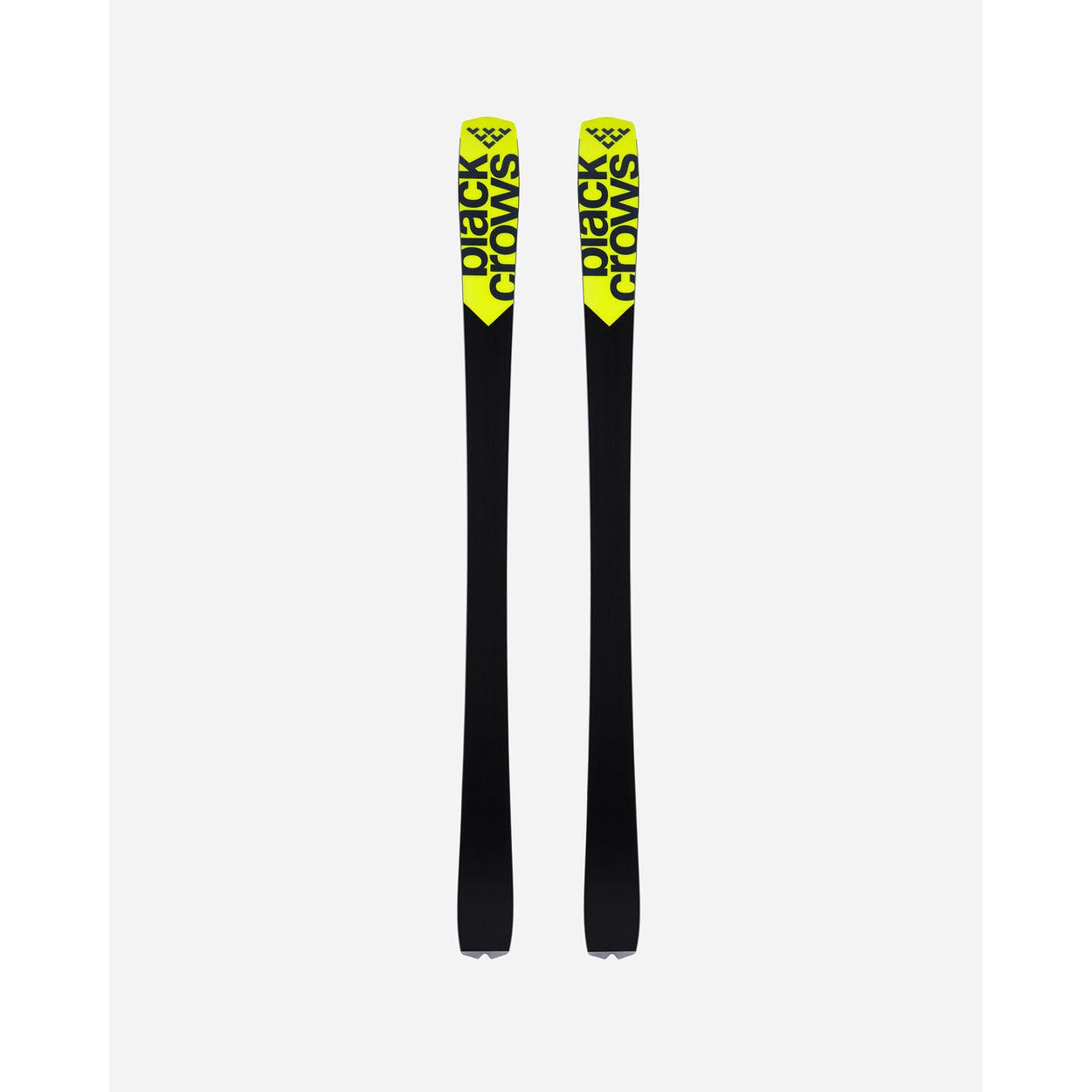 Black Crows Octo 2025/26